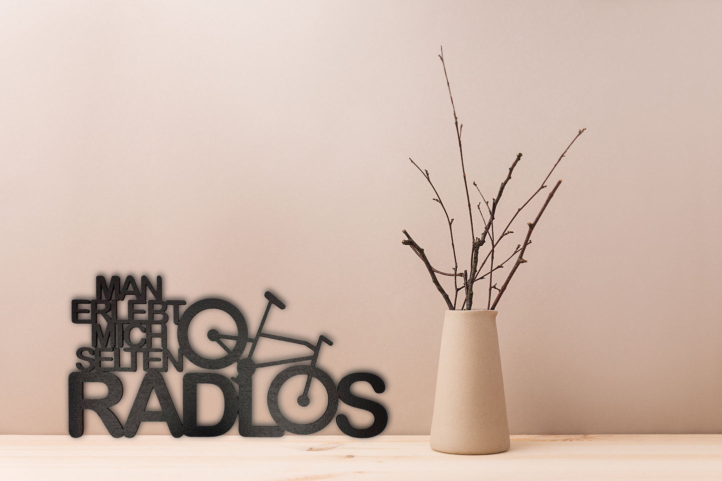 Schriftzug aus Holz "man erlebt mich selten radlos" Holzschild zum Aufkleben Fahrradliebhaber Spruch Deko Wandkunst Wandbild E-Bike